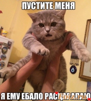 id77982, 33 из г. Бруклин