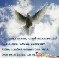 id78270, 40 из г. Донецк 