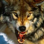 id79610, 56 из г. Москва