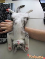 id83146, 43 из г. Харьков