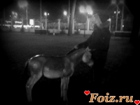 Slysh_Niger-id83294, 29 из г. Харьков