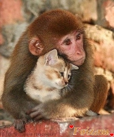 Bars28-id83620, 37 из г. Москва