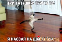 Donna_Korleone-id85638, 13 из г. Саратов