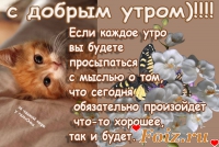 id86010, 38 из г. Харьков