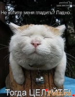 id86384, 38 из г. Курган