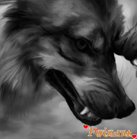 Wolfer, 13 из г. Белицкое