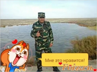 id88250, 41 из г. Васильков