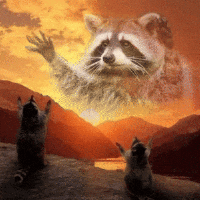 _-WilD_-_RaCCooN-_, 32 из г. Гомель