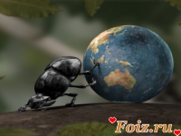 id90651, 42 из г. Киев