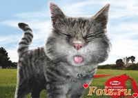 Yo_Landi-id93341, 31 из г. Москва