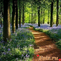 Nawarr-id94468, 14 из г. Киев