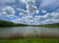 АСПИРИН, 52 из г. Новороссийск