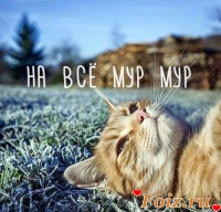 id98838, 29 из г. Вознесенск