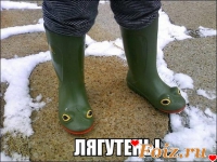 id98969, 15 из г. Быково 