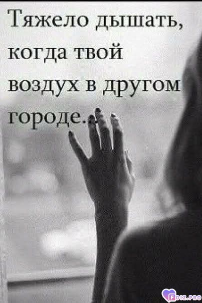 boljqxx