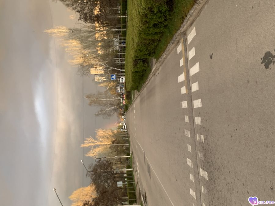 pozvoni