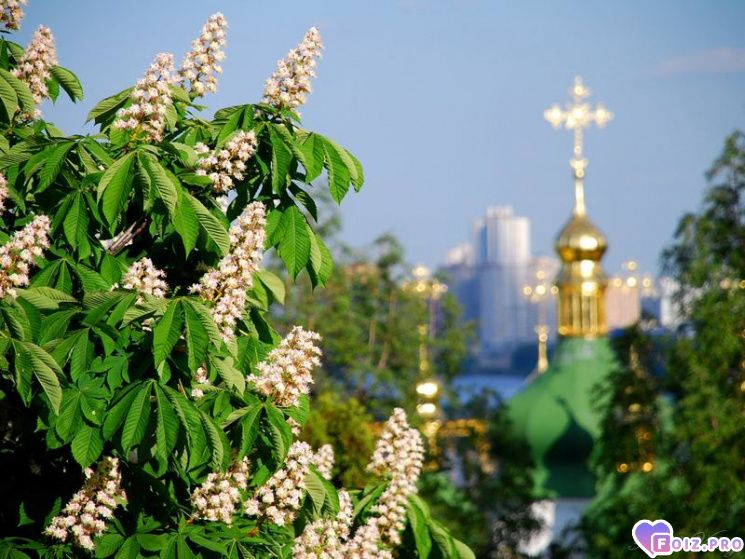 denjq-narodzhennyanam-1543