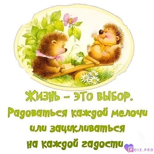 cenite-zhiznjqxxx