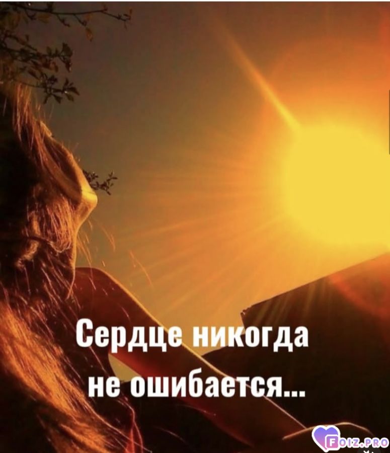 serdce-nikogda-ne-oshibaetsya