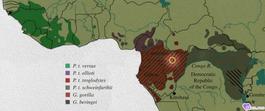 vichistoriya