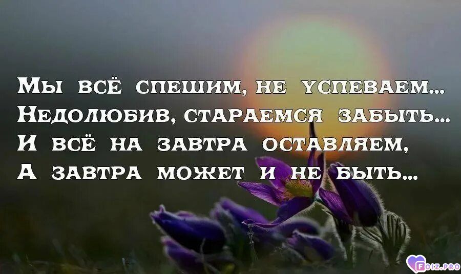 xlisenokx