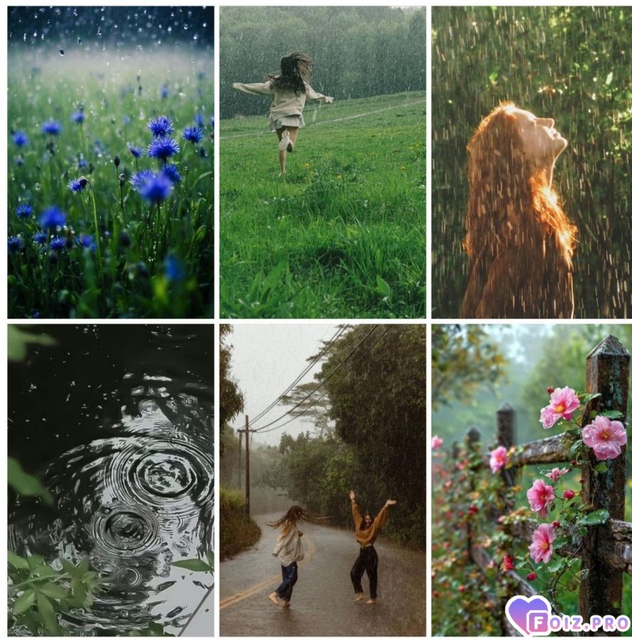 dozhdjqxxx