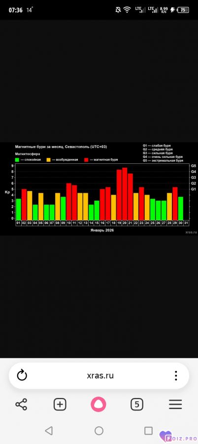v-yanvare-byli-magnitnye-burix