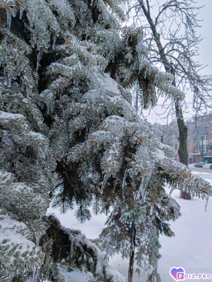 posledniq-denjq-yanvarya