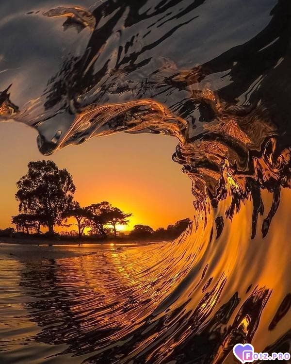 virtualjqnaya-zhiznjq