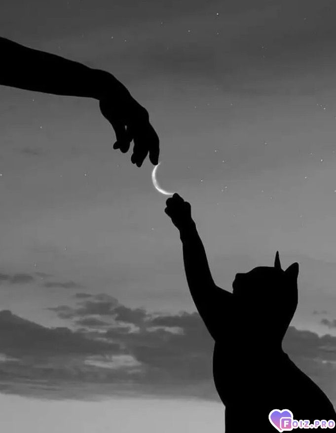 toq-chjqi-glaza-svetlee-ljybogo-dnya