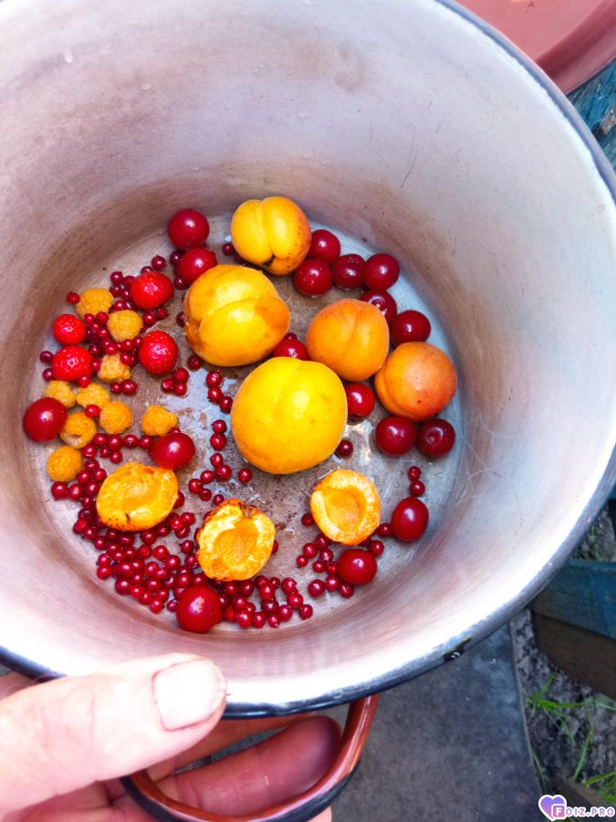 kompot-sbornaya-sssr