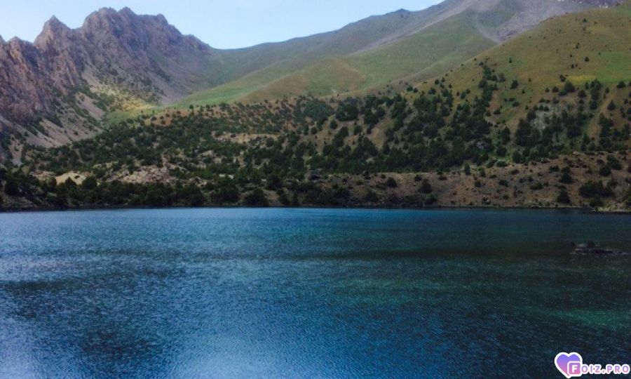 ljybljyx