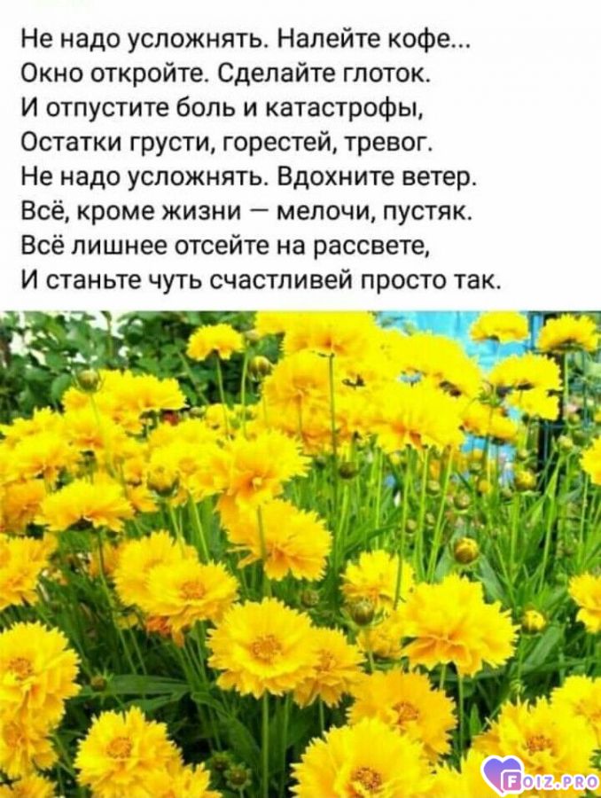 ne-nado-uslozhnyatjqxxx