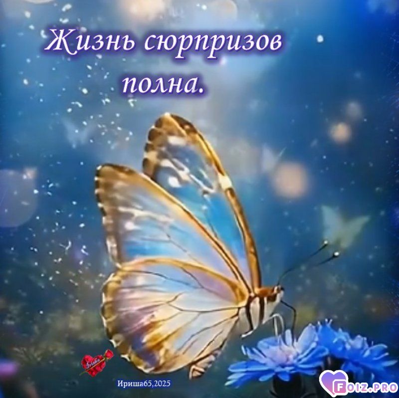 zhiznjq-sjyrprizov-polnaxxx