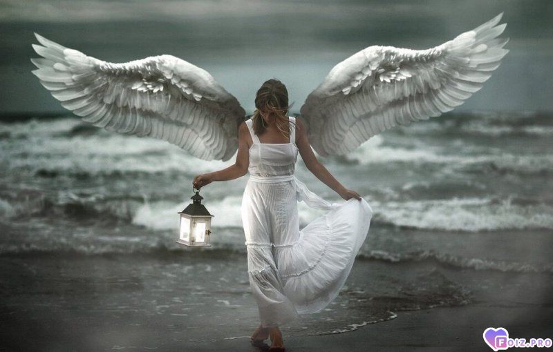 angel-za-spinoqxxx