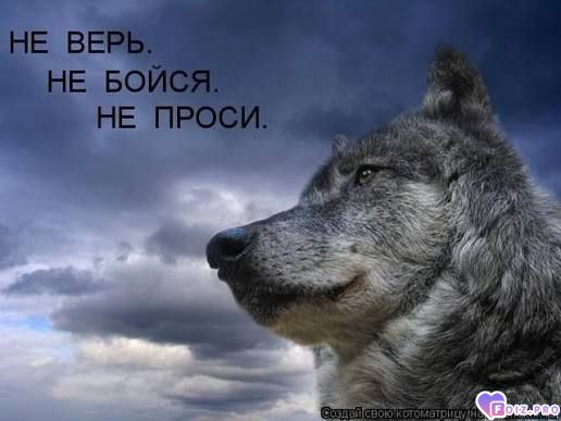 ne-verjq-ne-boqsya-ne-prosi