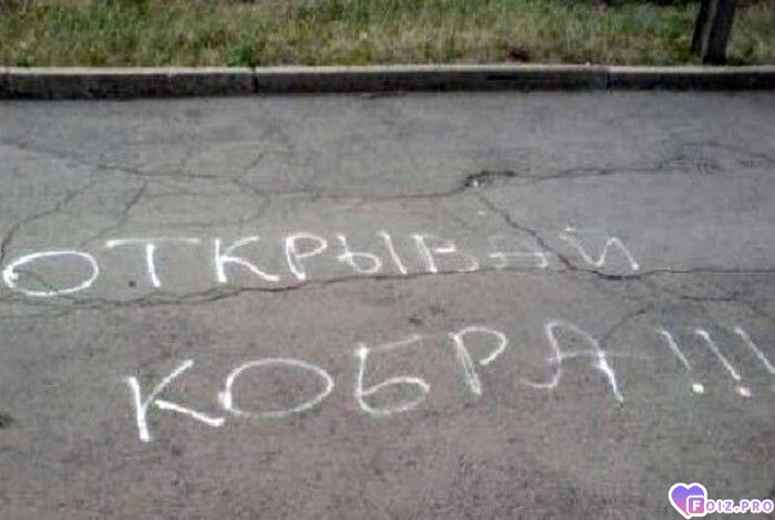 pohabnik