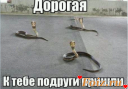 Скрин...