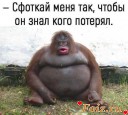 Скрин...