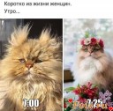 Скрин...