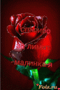 Скрин...