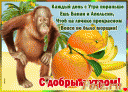 Скрин...