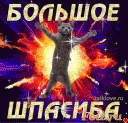 Скрин...