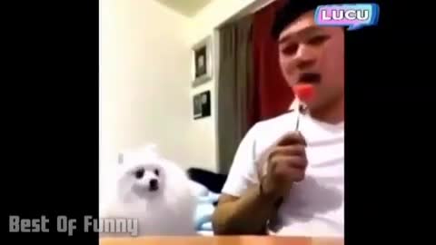 Делай как Я