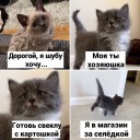Скрин...
