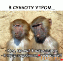 Скрин...