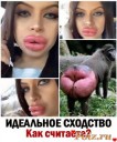 Скрин...
