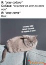 Скрин...