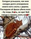 Скрин...