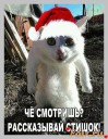 Скрин...